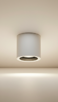 Architectural Downlight in Frosted Glass